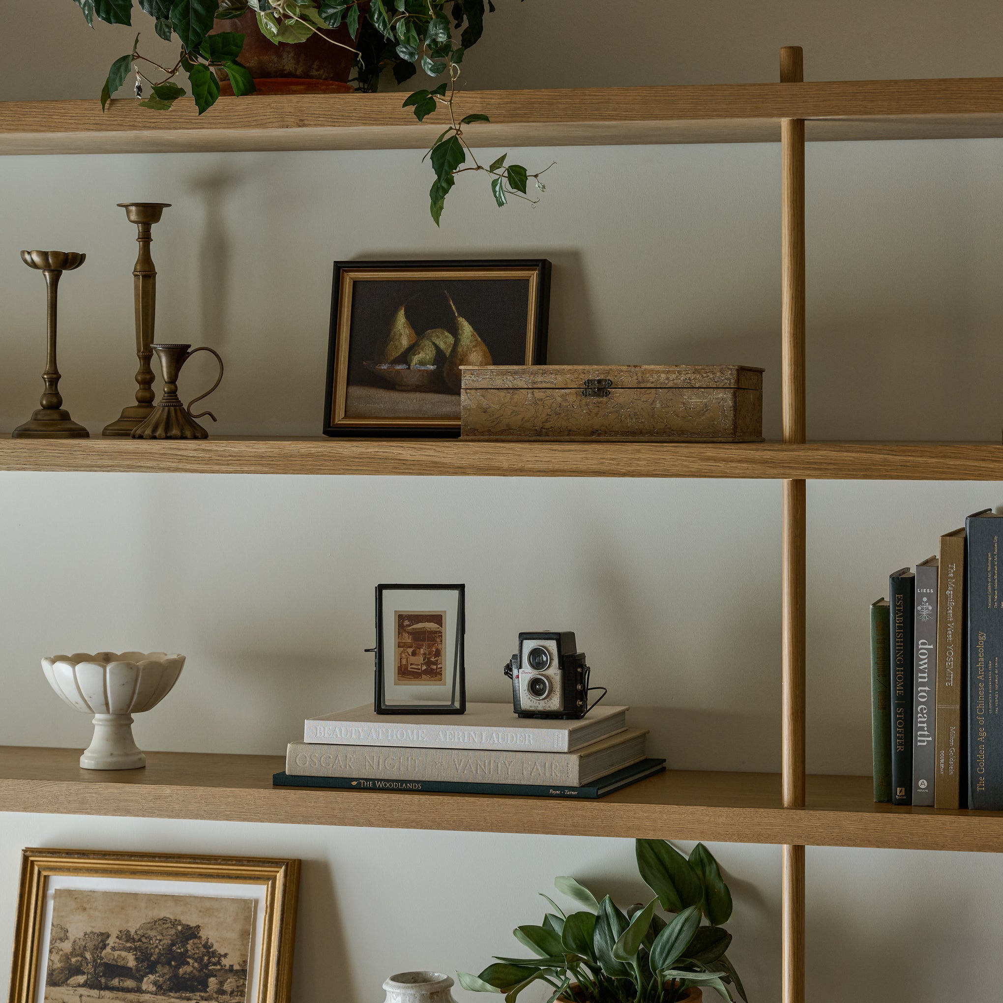 Anna Antique Brass Taper Holder on an open bookshelf