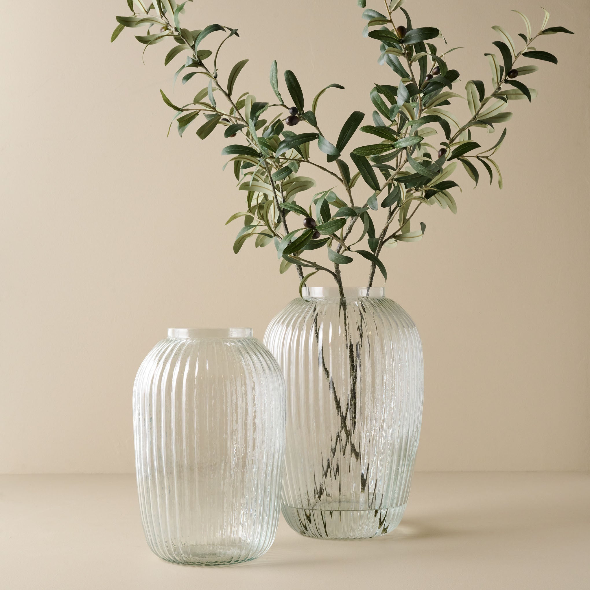 Short and Tall Korenne Ribbed Glass Vase shown with olive plant
