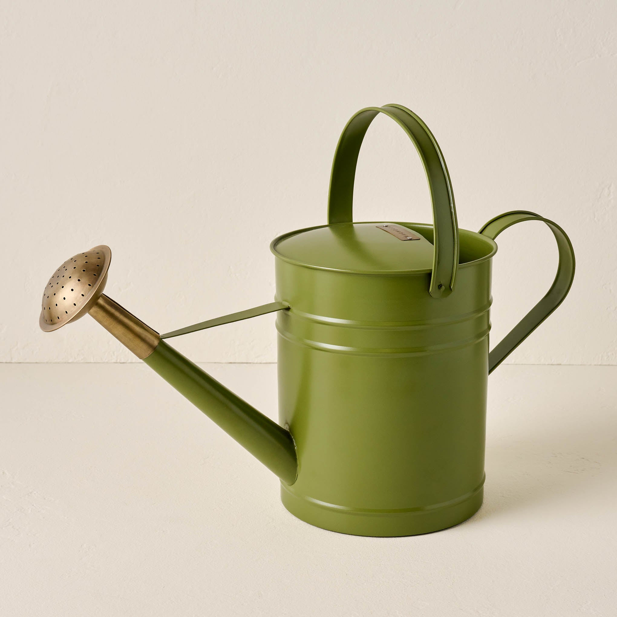 Magnoliass Green Enamel Watering Can