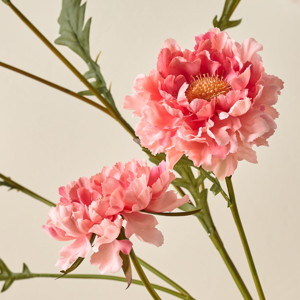 Real Touch Scabiosa Stem up close