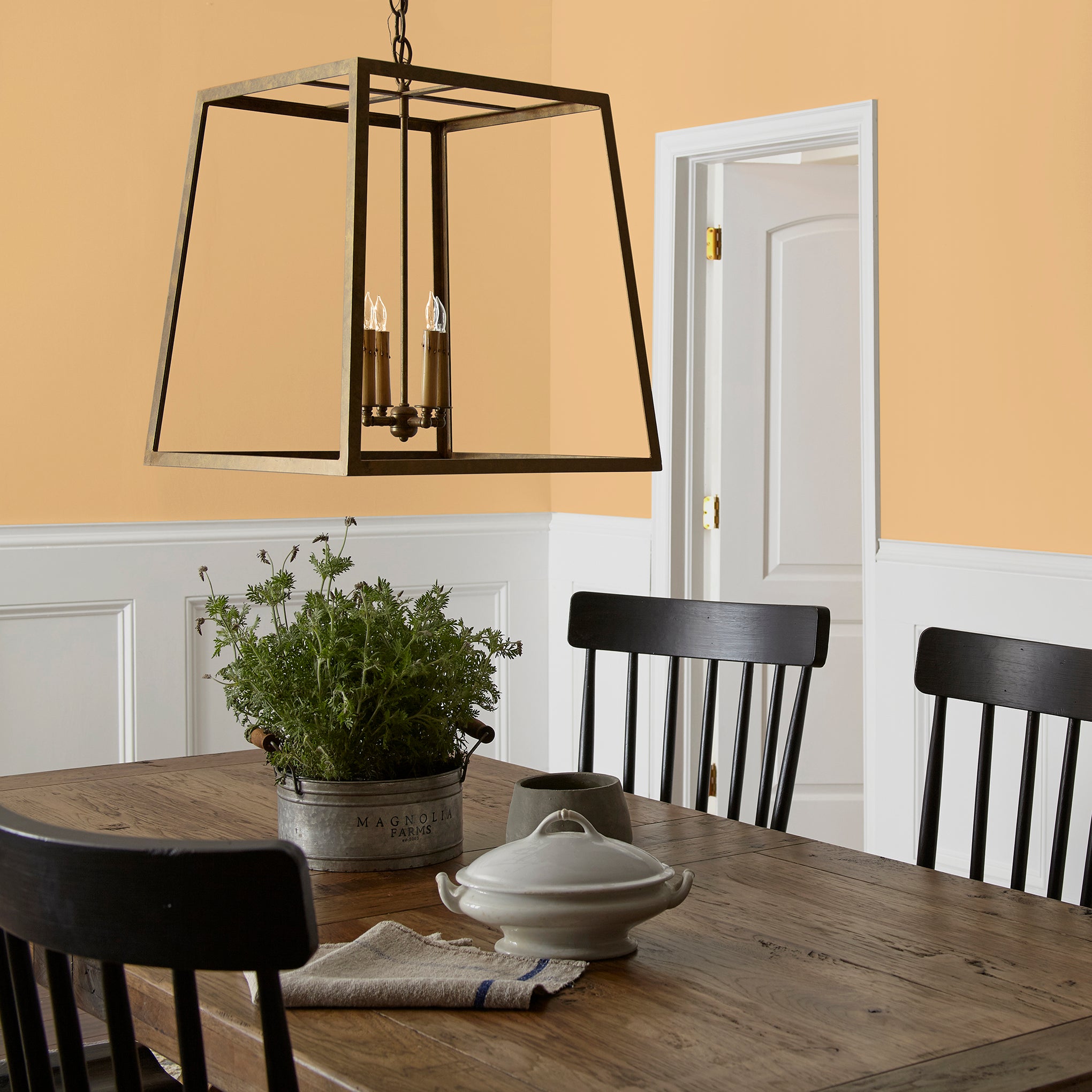golden-yellow classic interior paint named amber shown painted on dining room wall