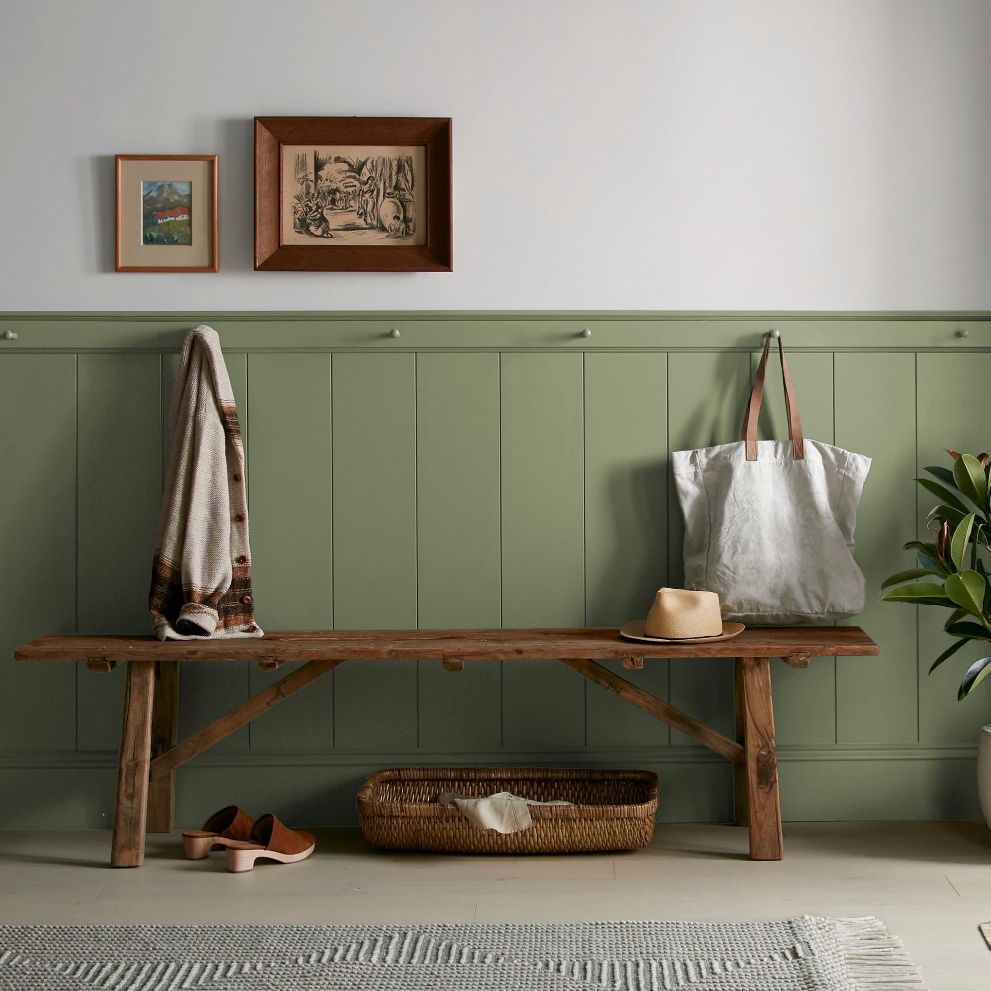 medium avocado green interior paint named celery seed shown painted on entryway wall
