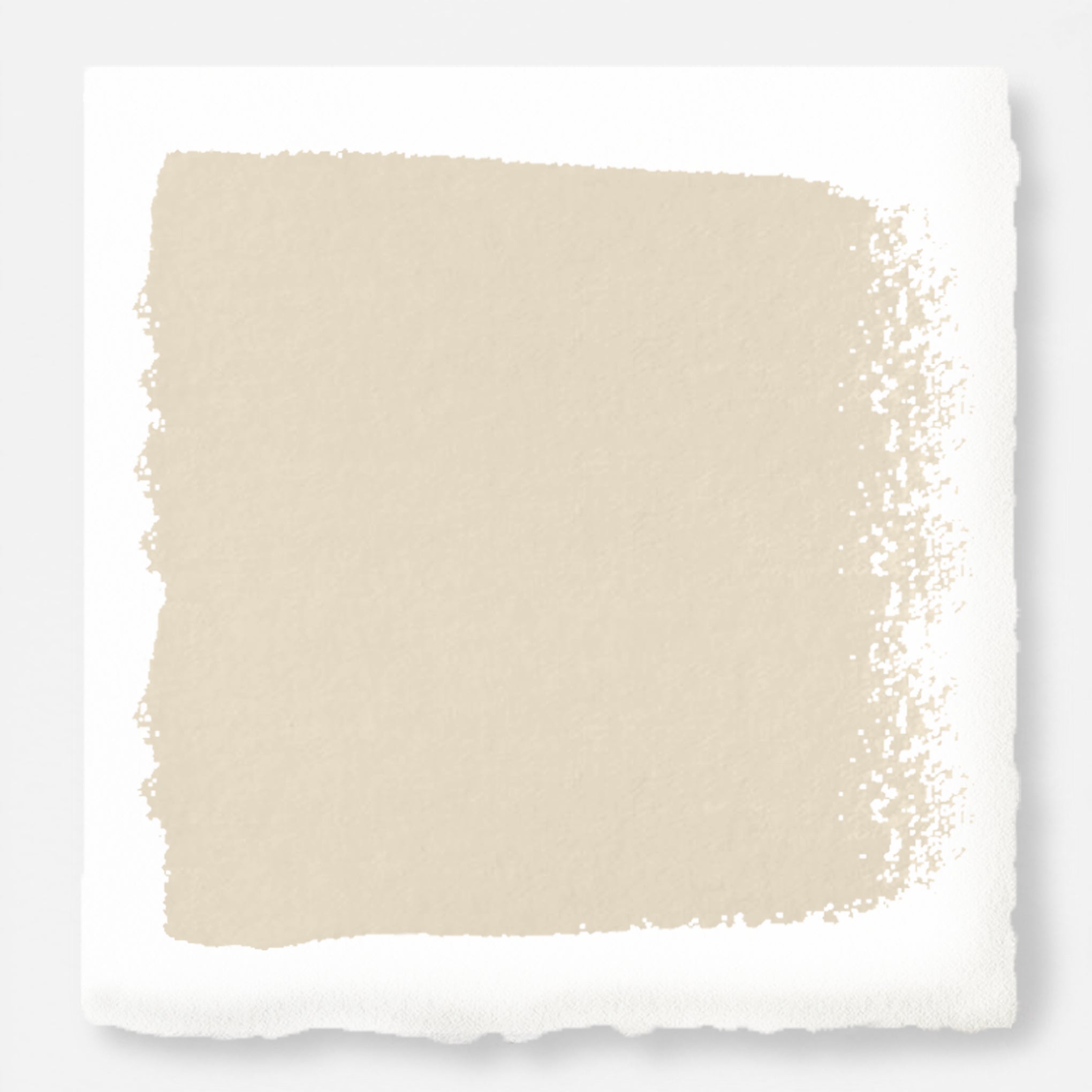 Morning Snow Paint Swatch