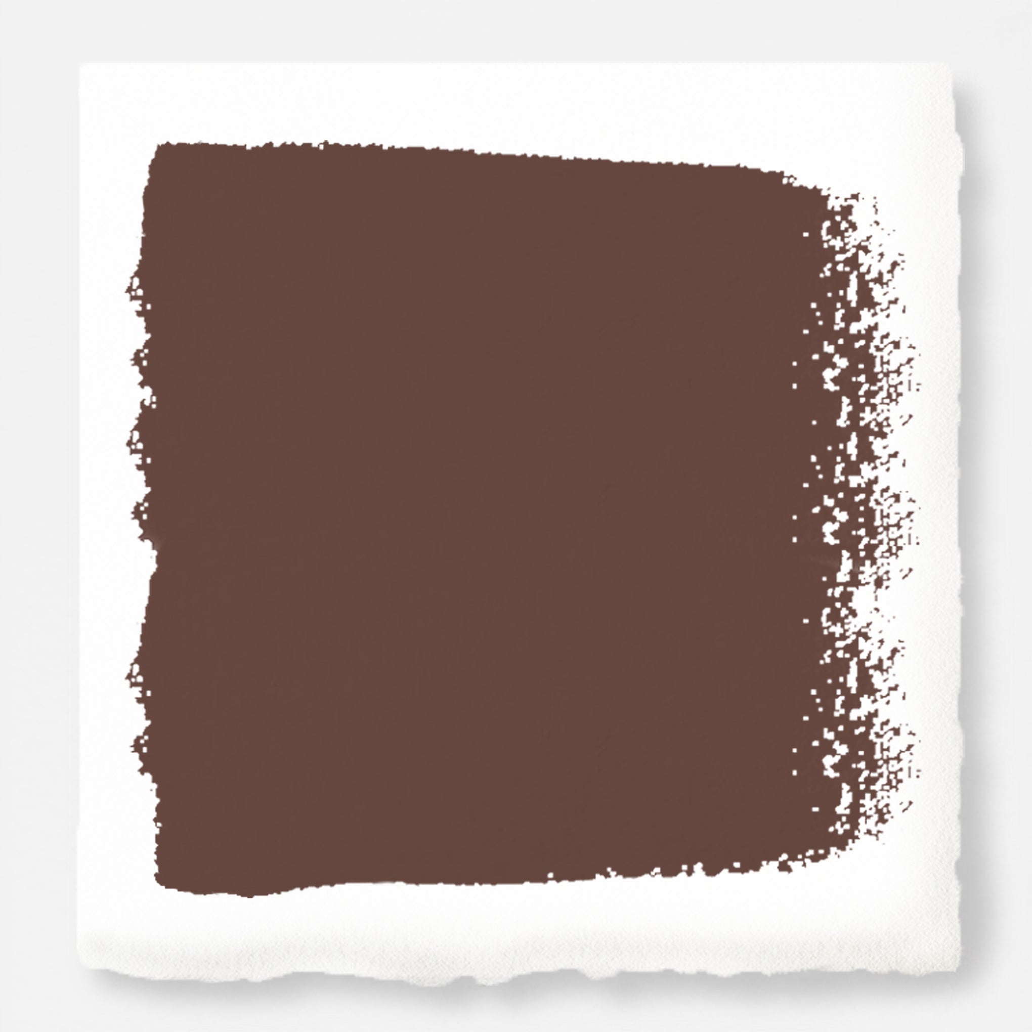 Mountain Currant Paint Swatch