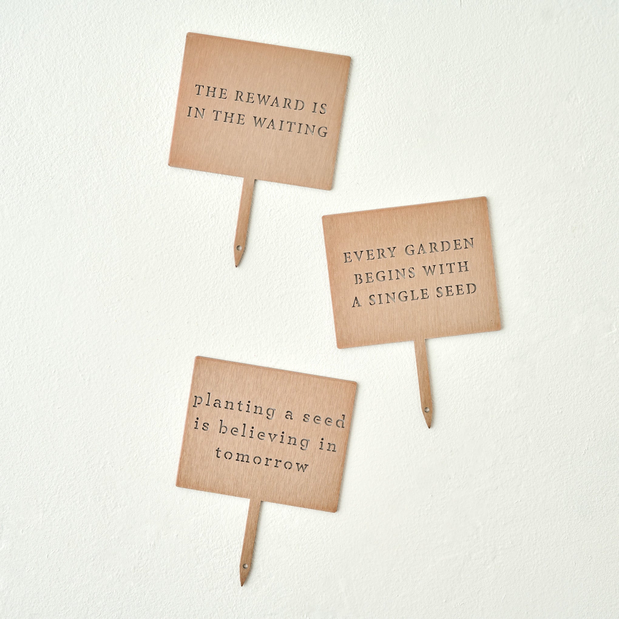 Single Seed Mini Garden Stake shown with other garden stakes