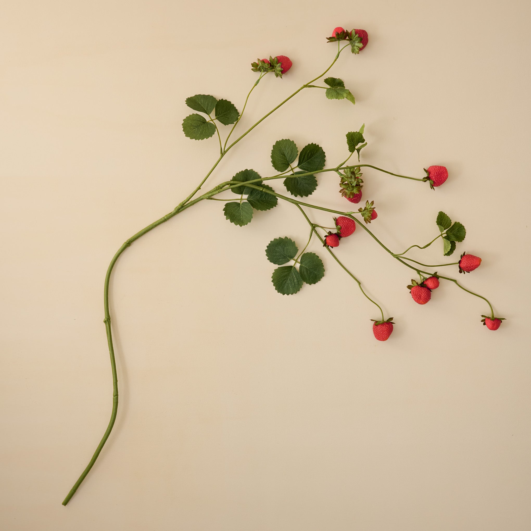 Strawberry Stem