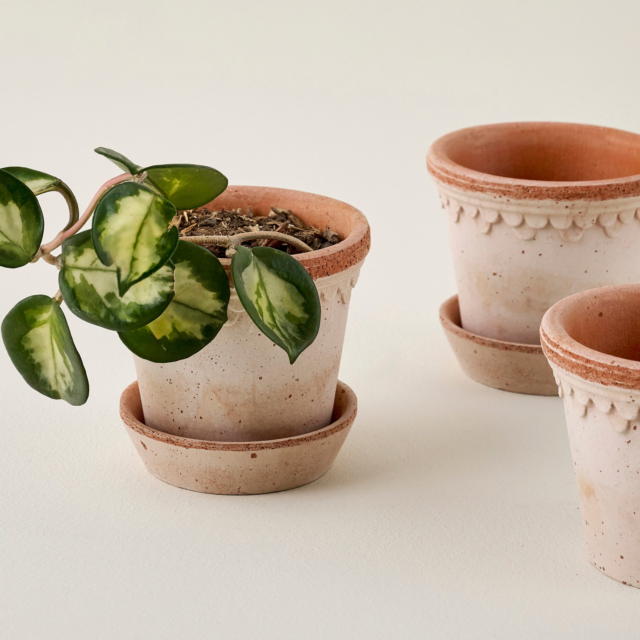 Bergs Københavner Small Pot Set of Three shown with plant