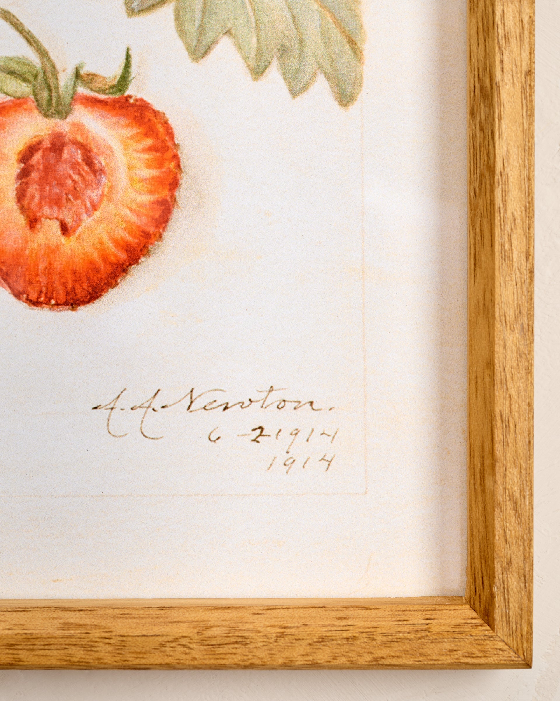 Fresh Strawberry Botanical Framed Print up close
