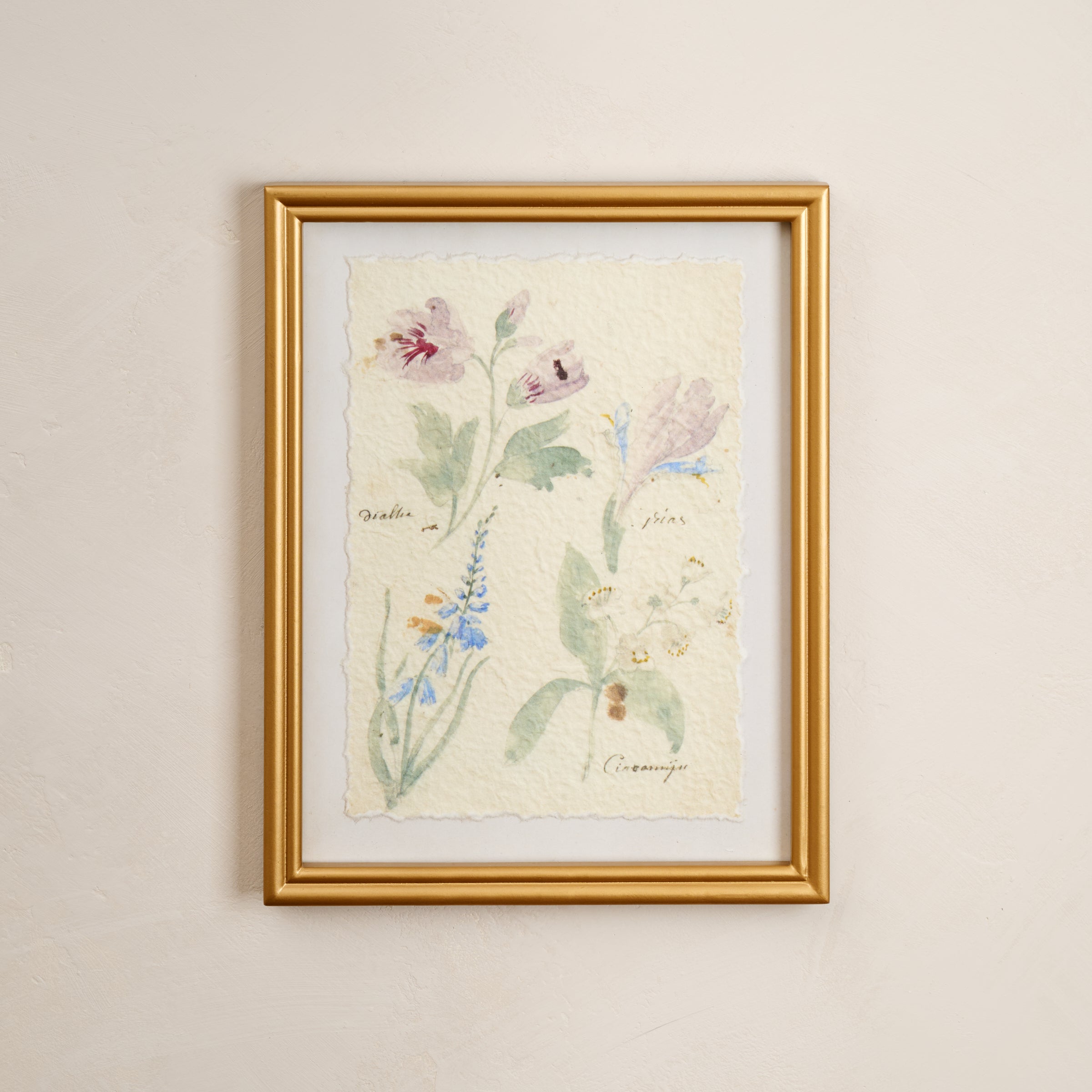 Watercolor Floral Framed Print