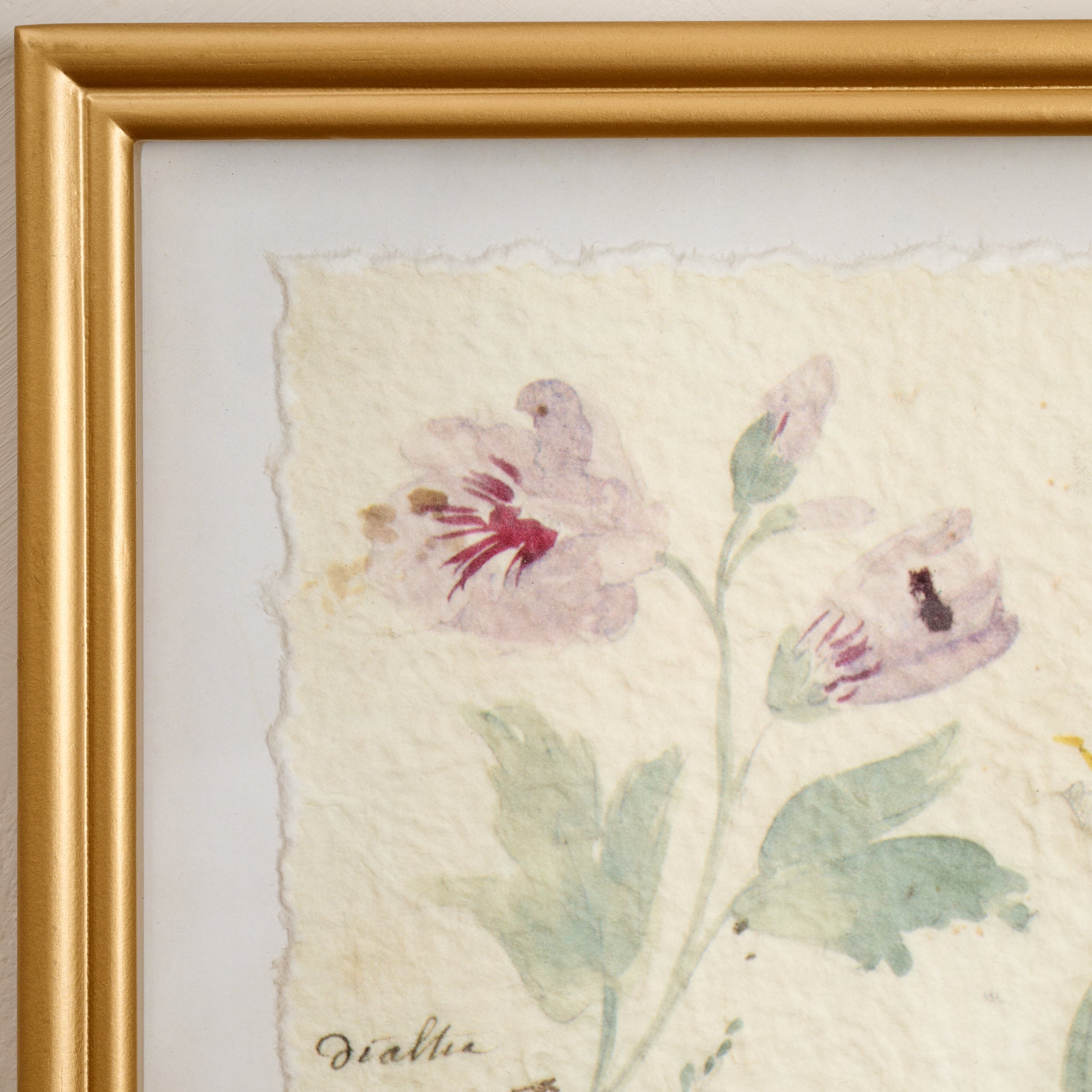 Watercolor Floral Framed Print up close