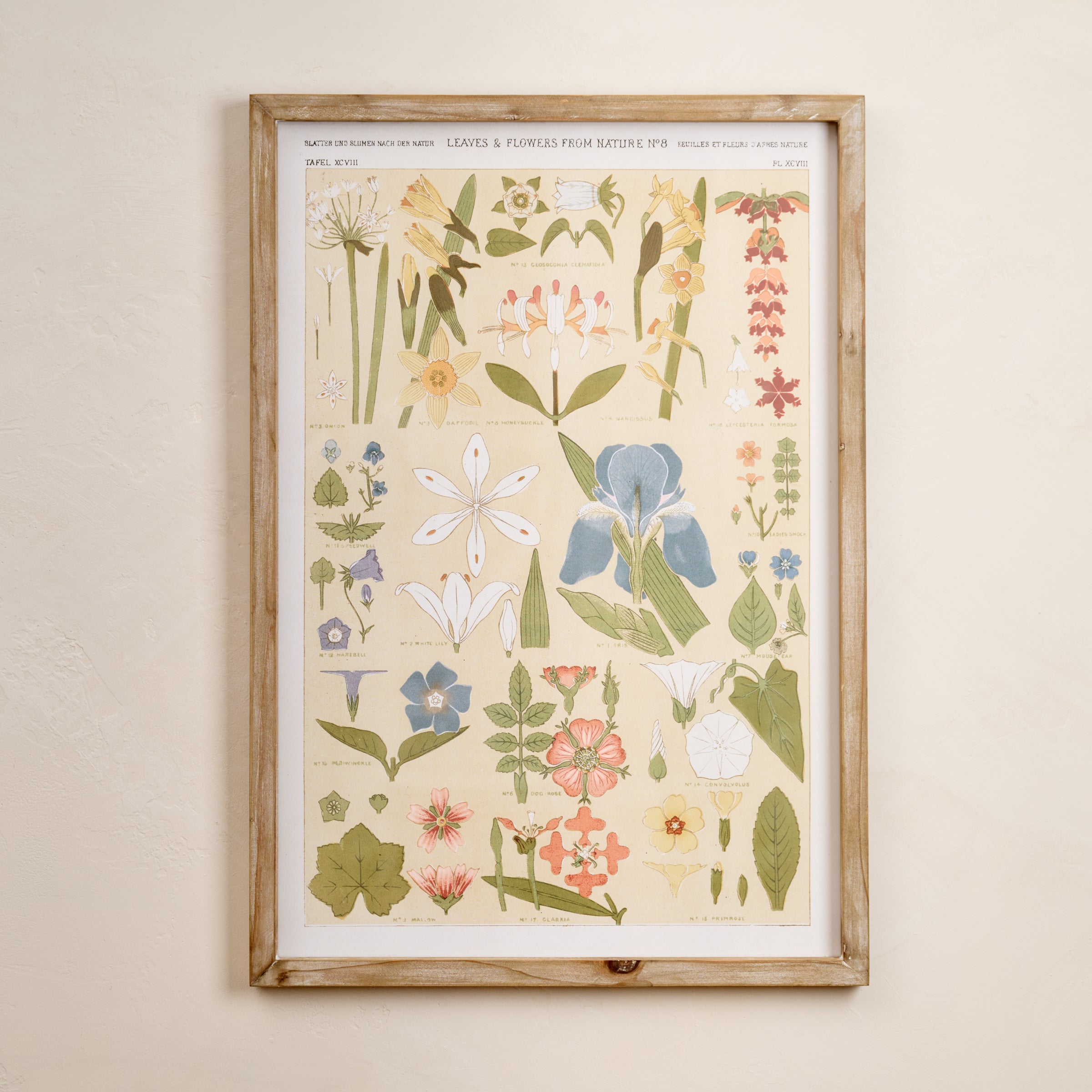 Antique Botanical Study II Framed Art