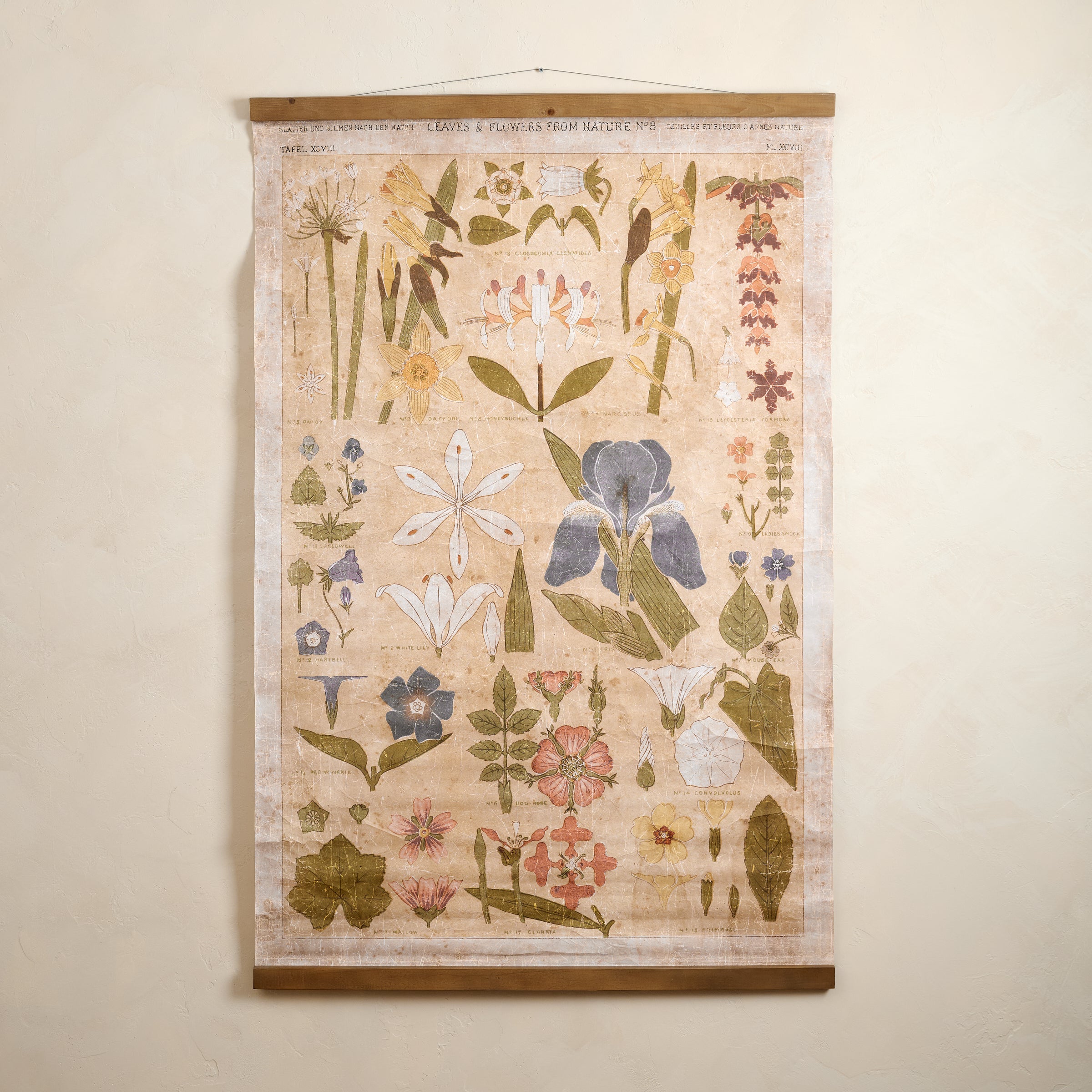 Antique Botanical Study II Tapestry