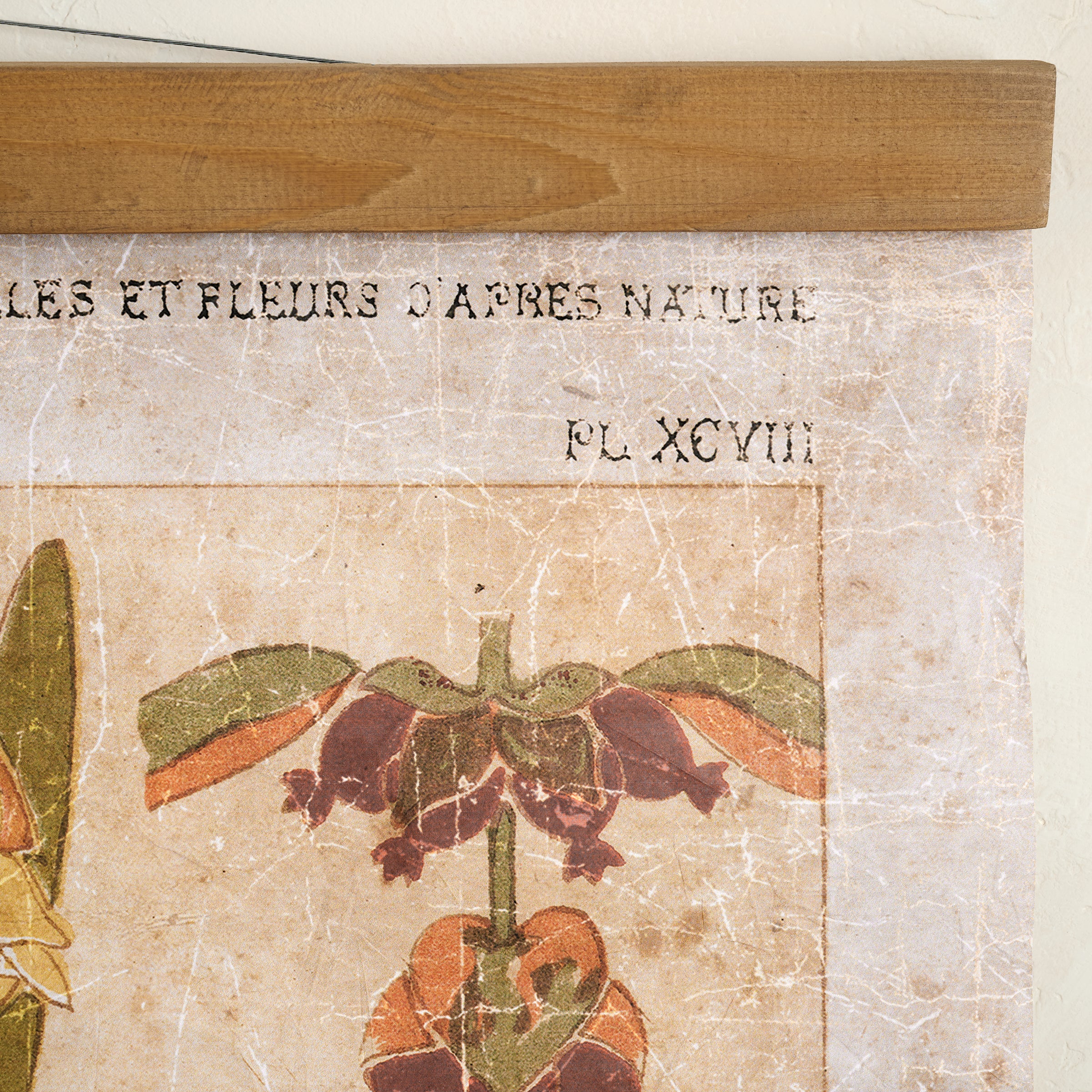 Antique Botanical Study II Tapestry up close