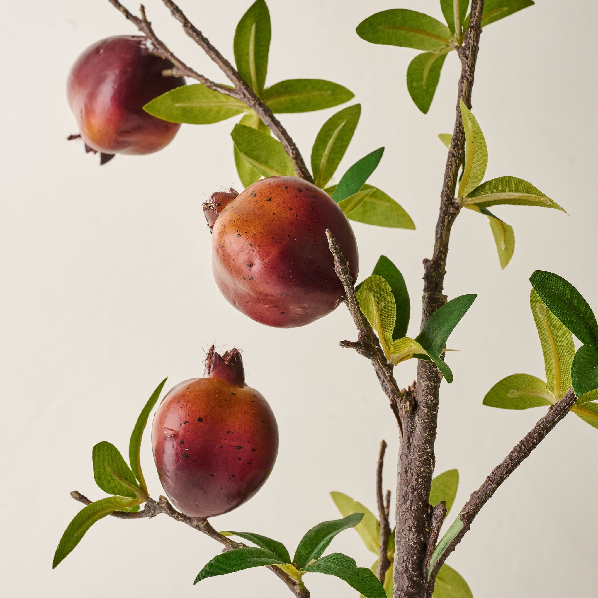 Pomegranate Spray up close