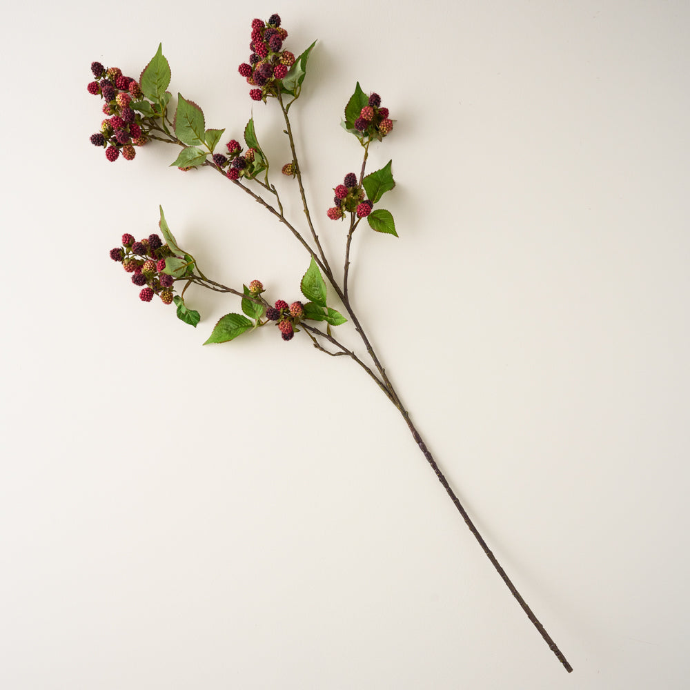 Blackberry Vine Stem