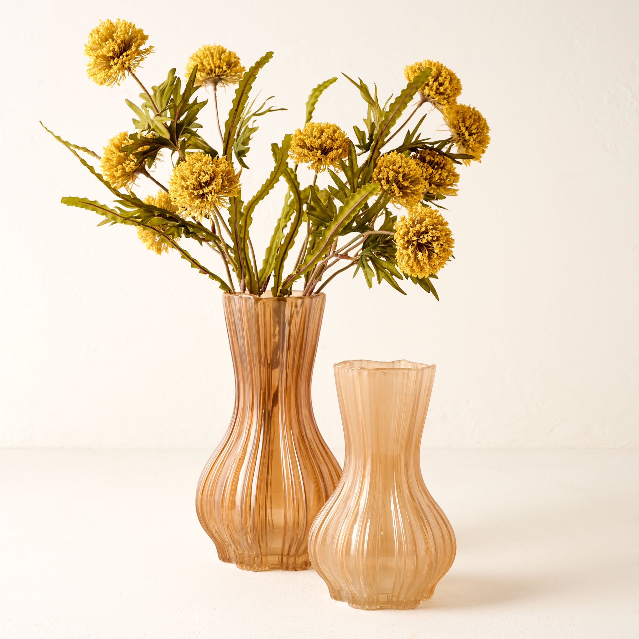 Yellow Large Thistle Bush shown in pink/orange vase next to empty smaller vase nearby