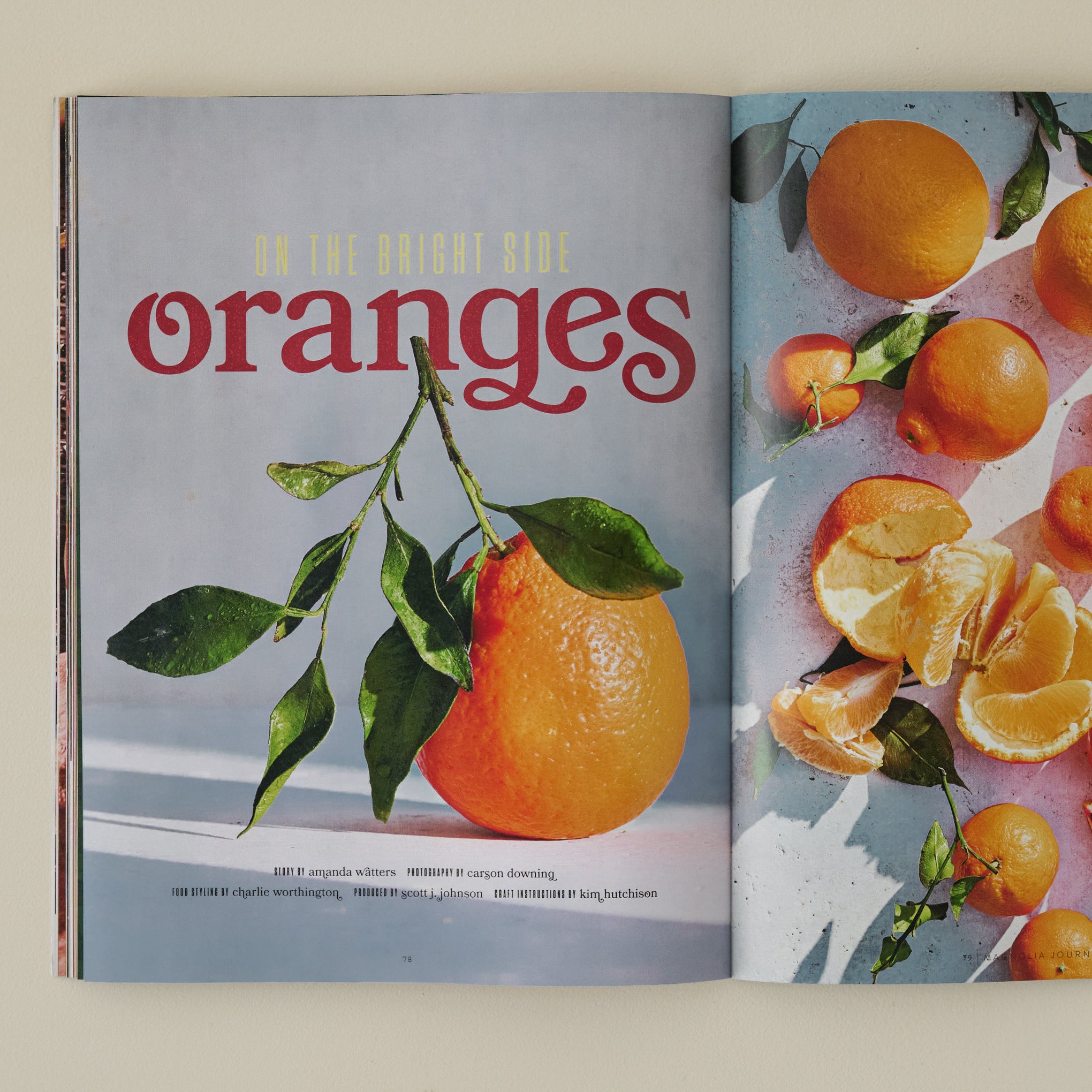 Magnoliass Winter 2025 Journal photo captured of stemmed orange with copy 'on the bright side oranges'
