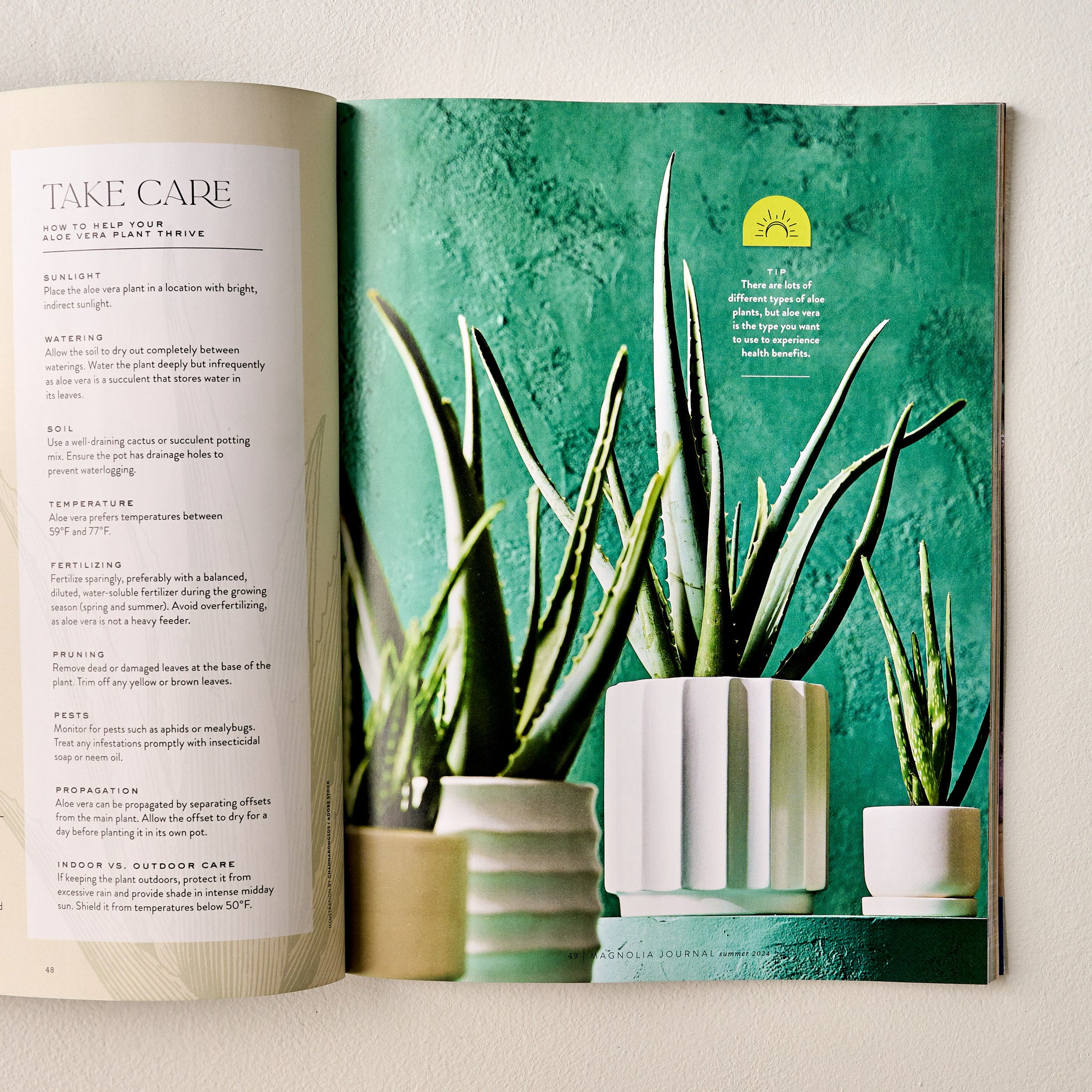 Magnoliass Journal Summer 2024