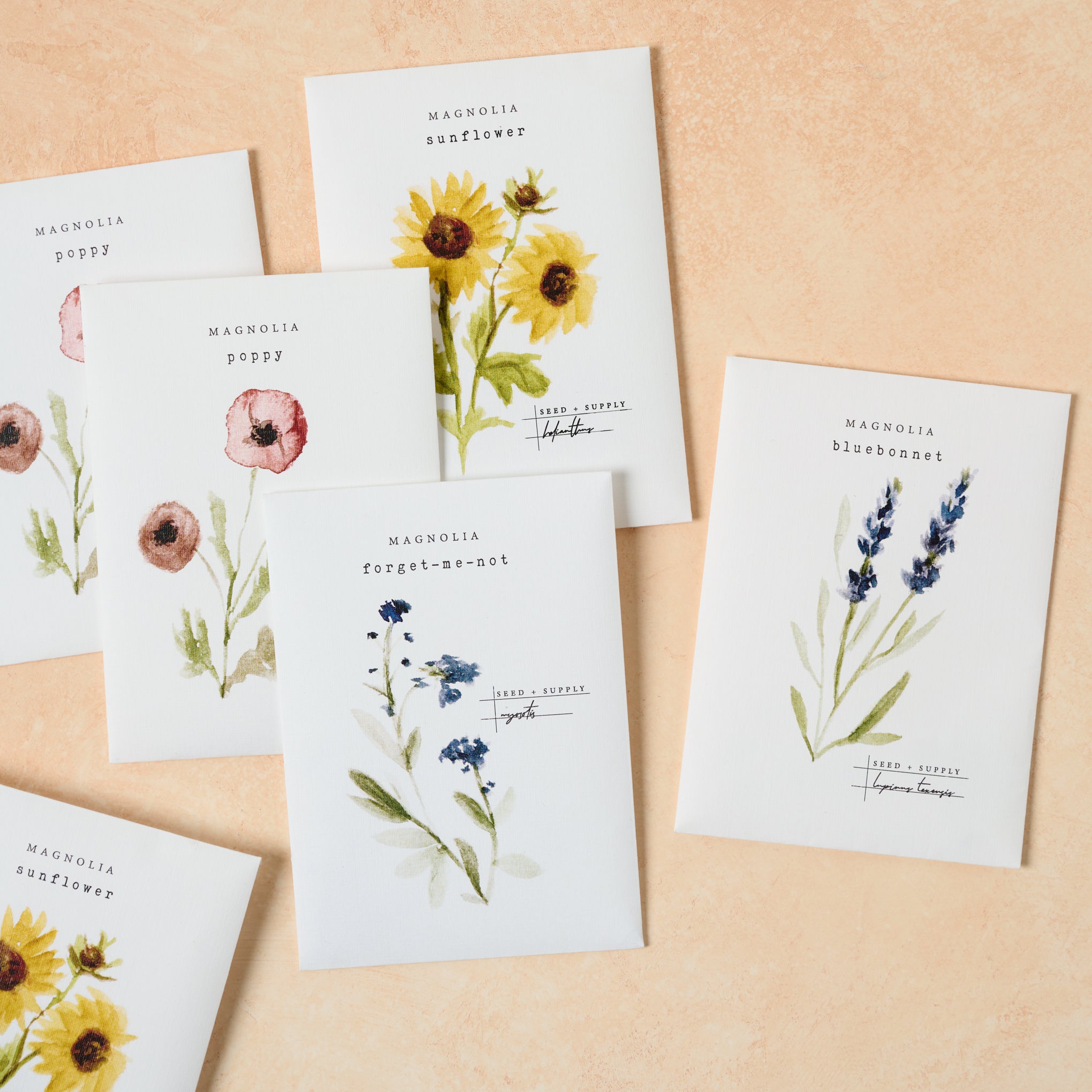 Watercolor Magnoliass Seeds