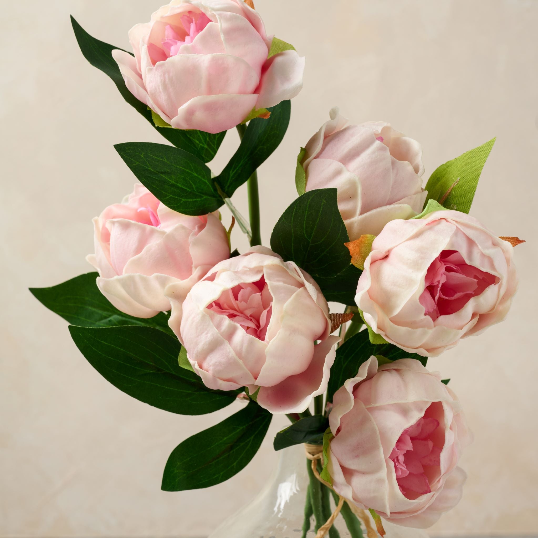 close up of florals on peony bundle in pink 