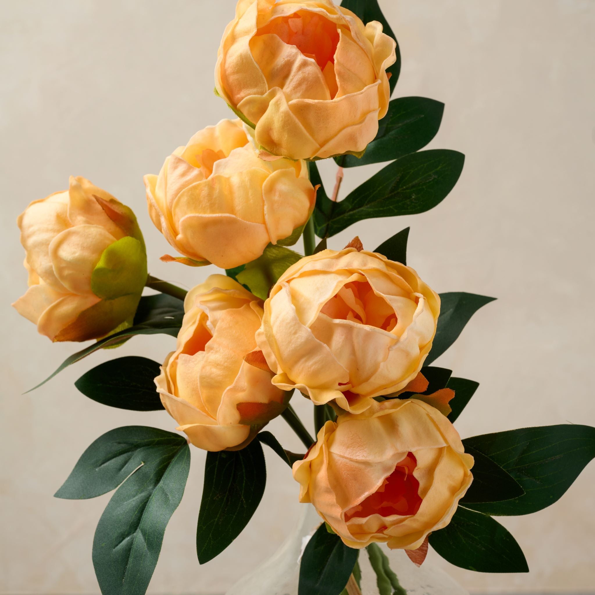 Close up of florals on Peony Bundle in peach