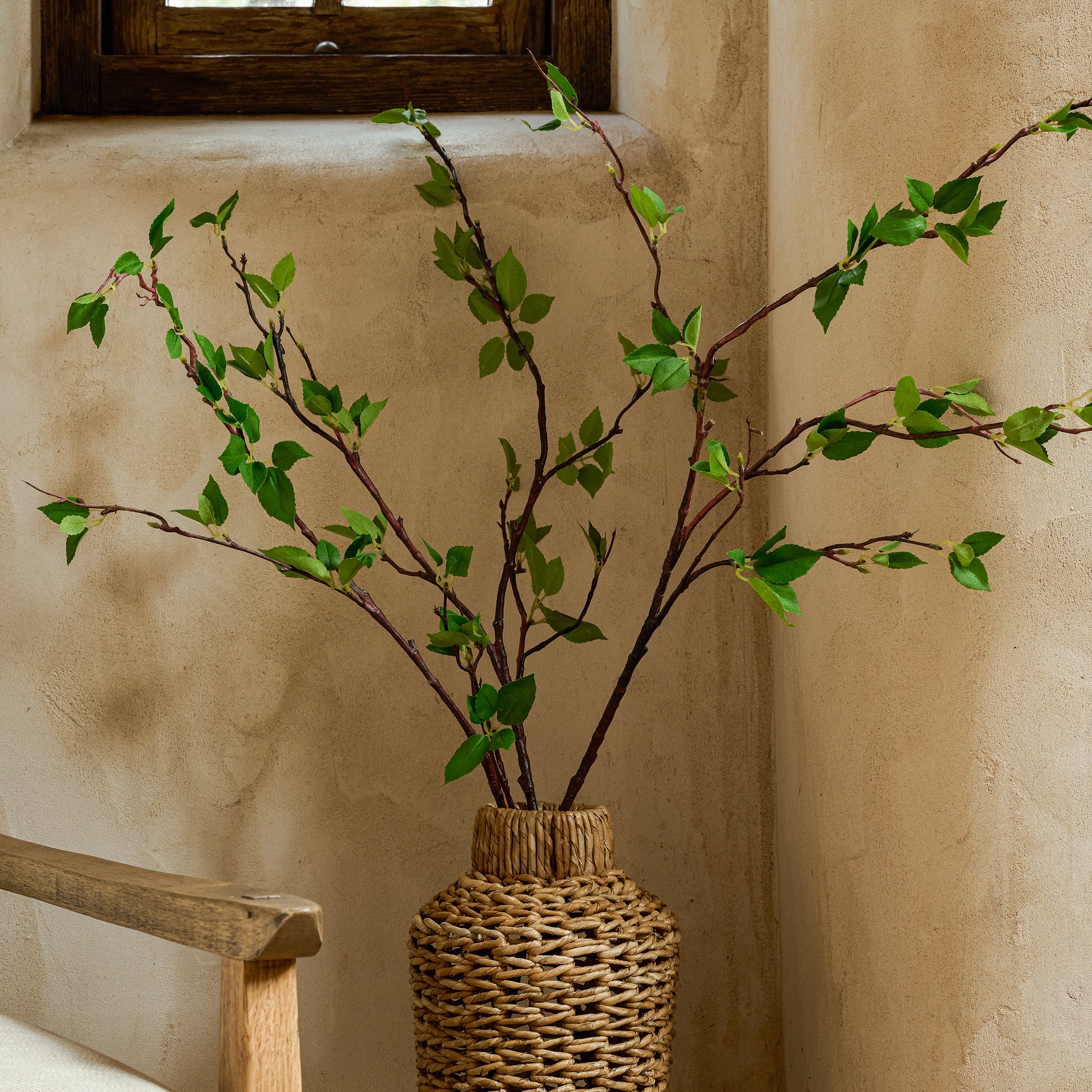 Magnoliass Green Leaf Branch