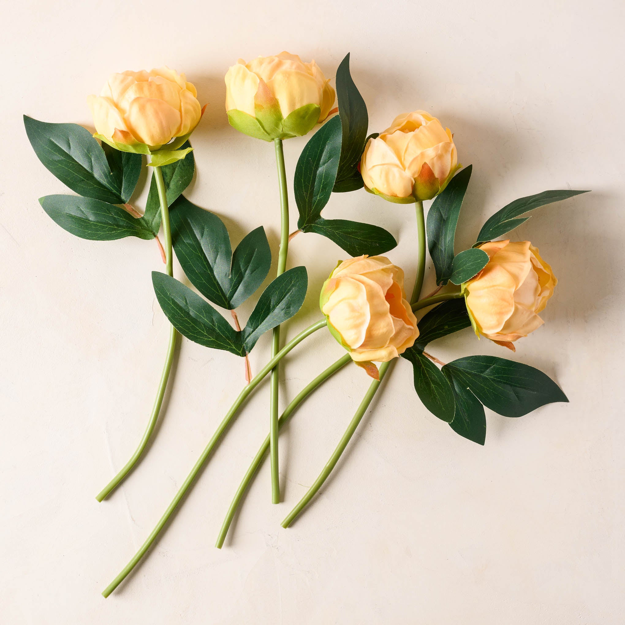 Peony Bundle in peach 