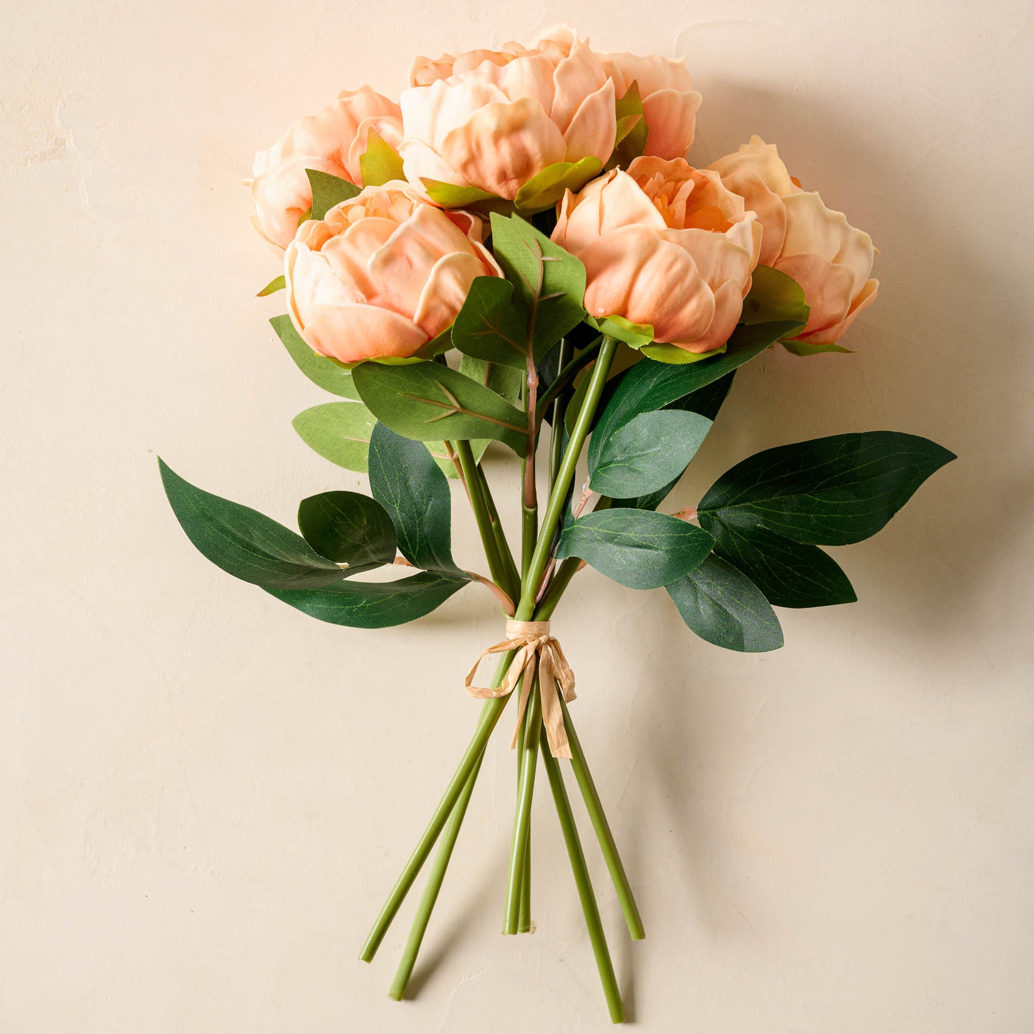 Peony Bundle tied together with brown string