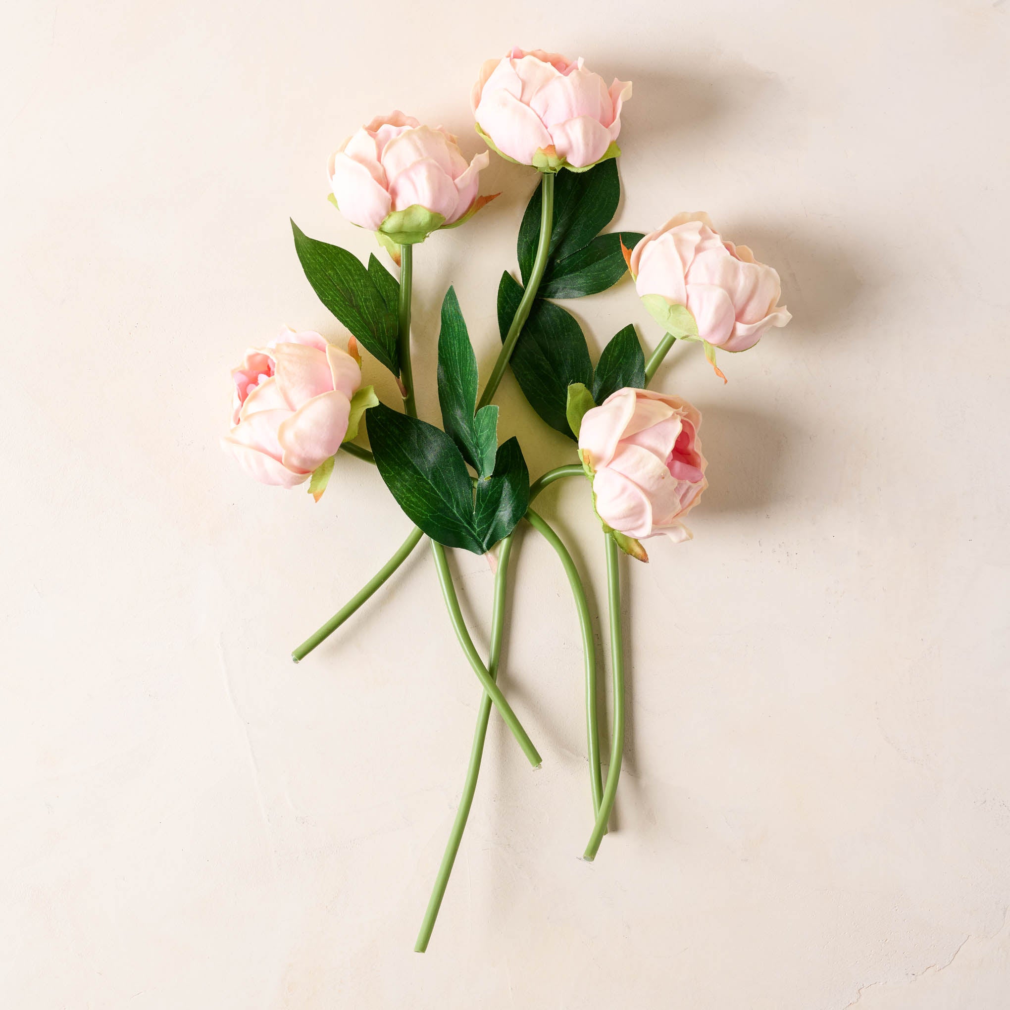 Peony Bundle in pink