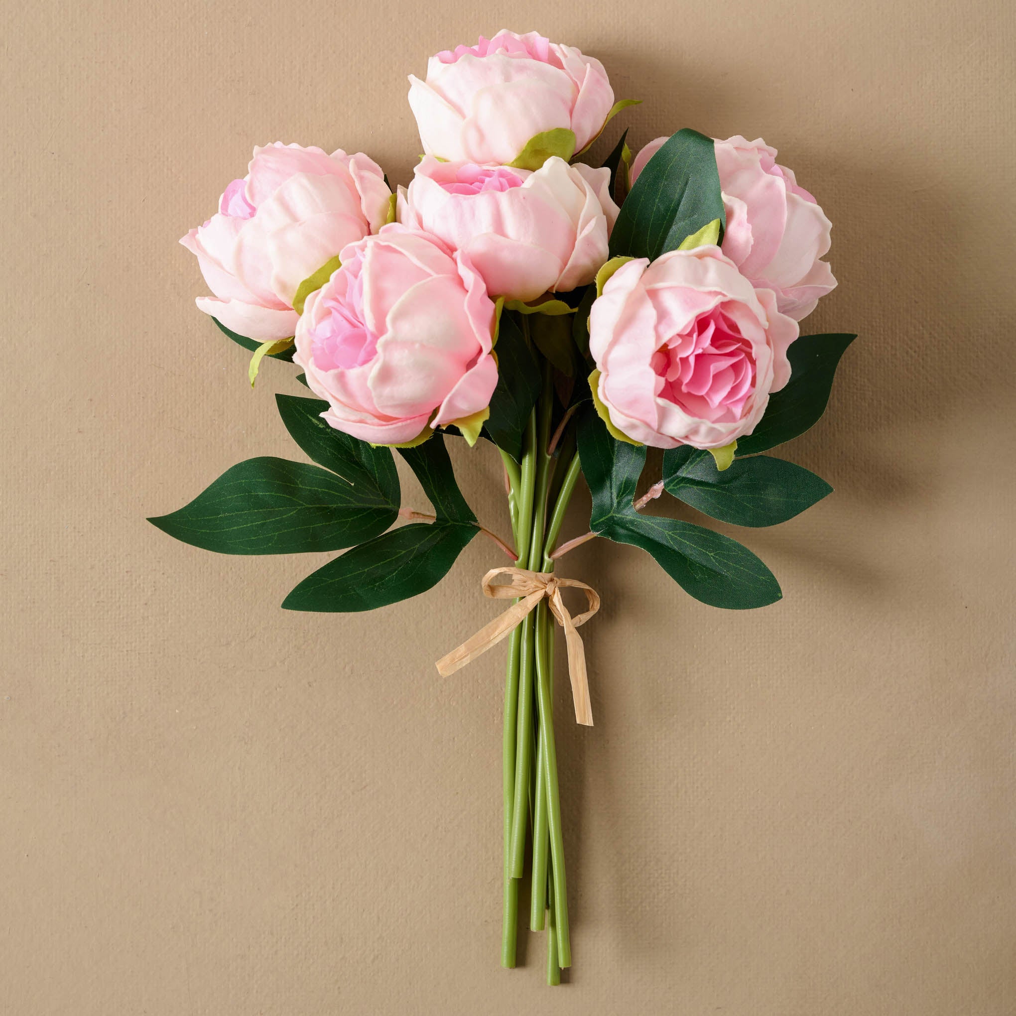 Peony Bundle tied together with brown string