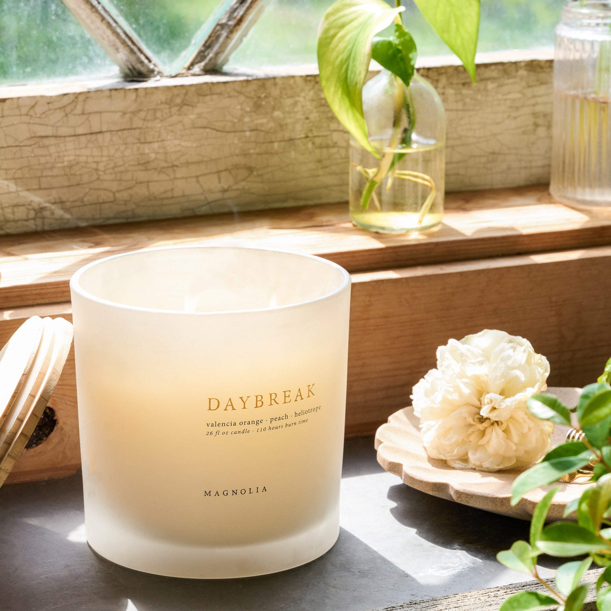 Magnoliass Daybreak Candle next to flowers