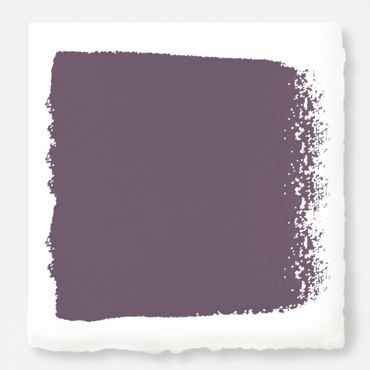 Deep and dusty berry interior paint named webster avenue