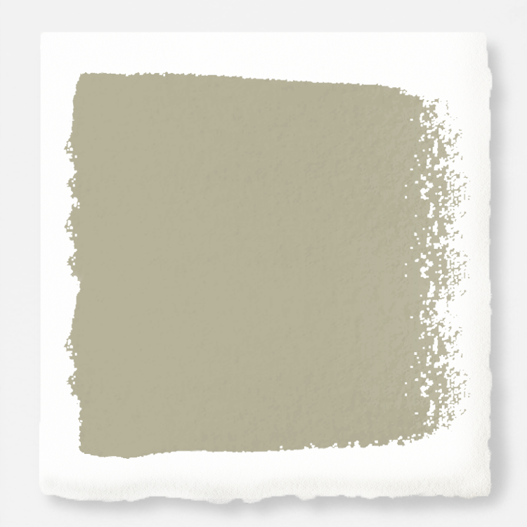 Midtoned tan with a hint of green interior paint
