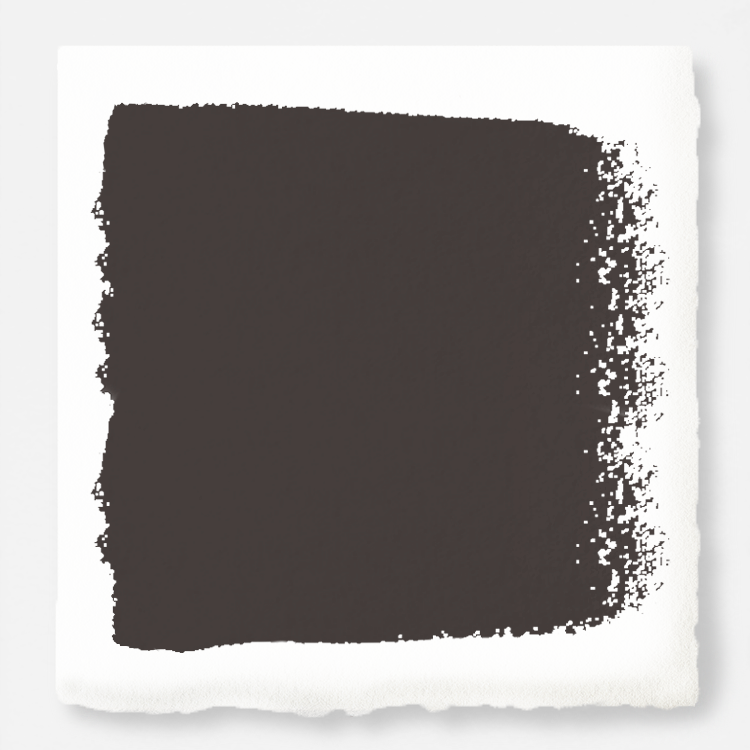 Deep brown with hazel and cocoa notes interior paint named repurpose