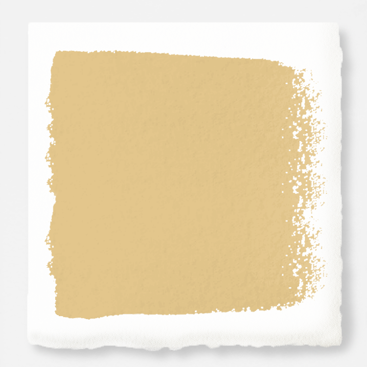 Muted midtoned yellow interior paint