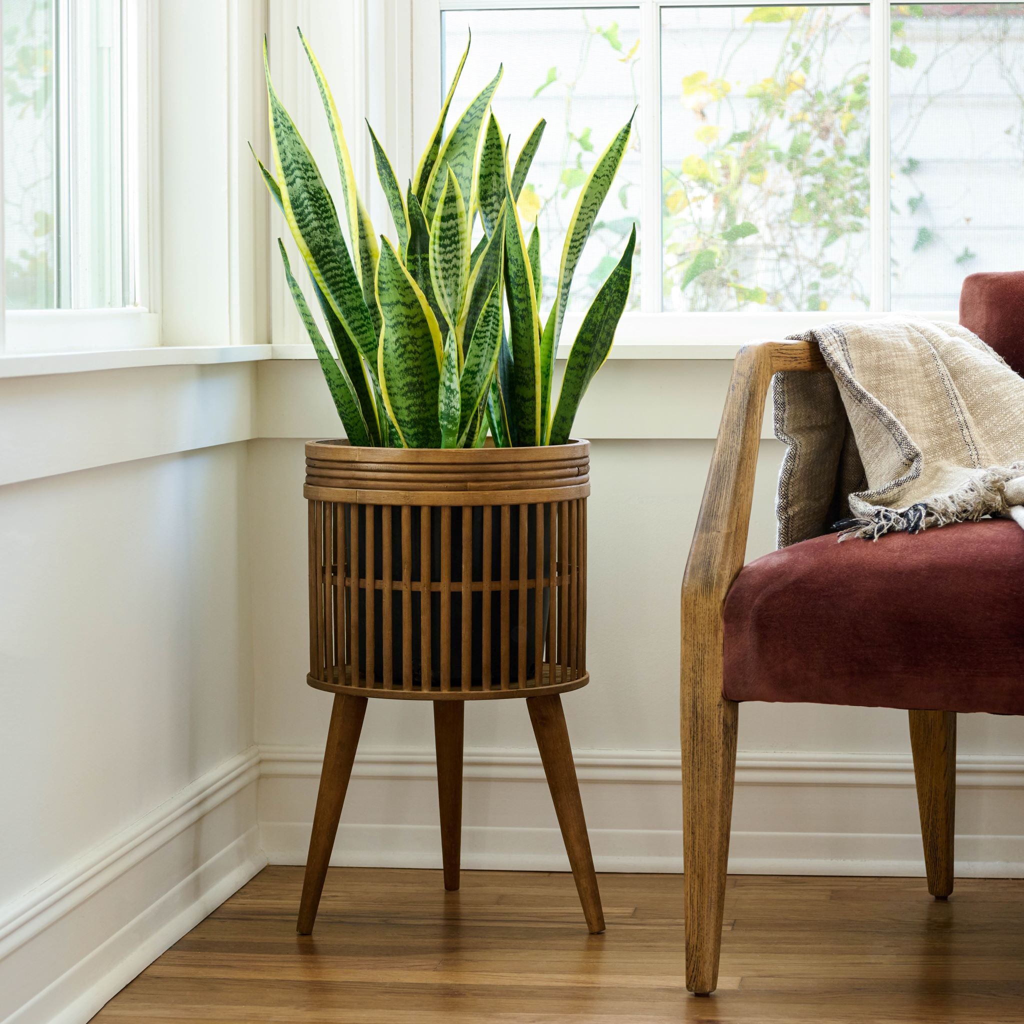 Magnoliass aged wood plant stand