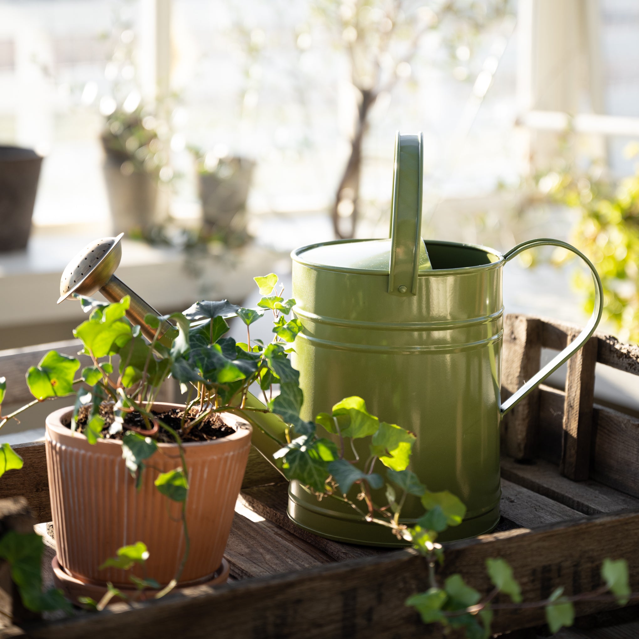 Magnoliass Green Enamel Watering Can With Decor