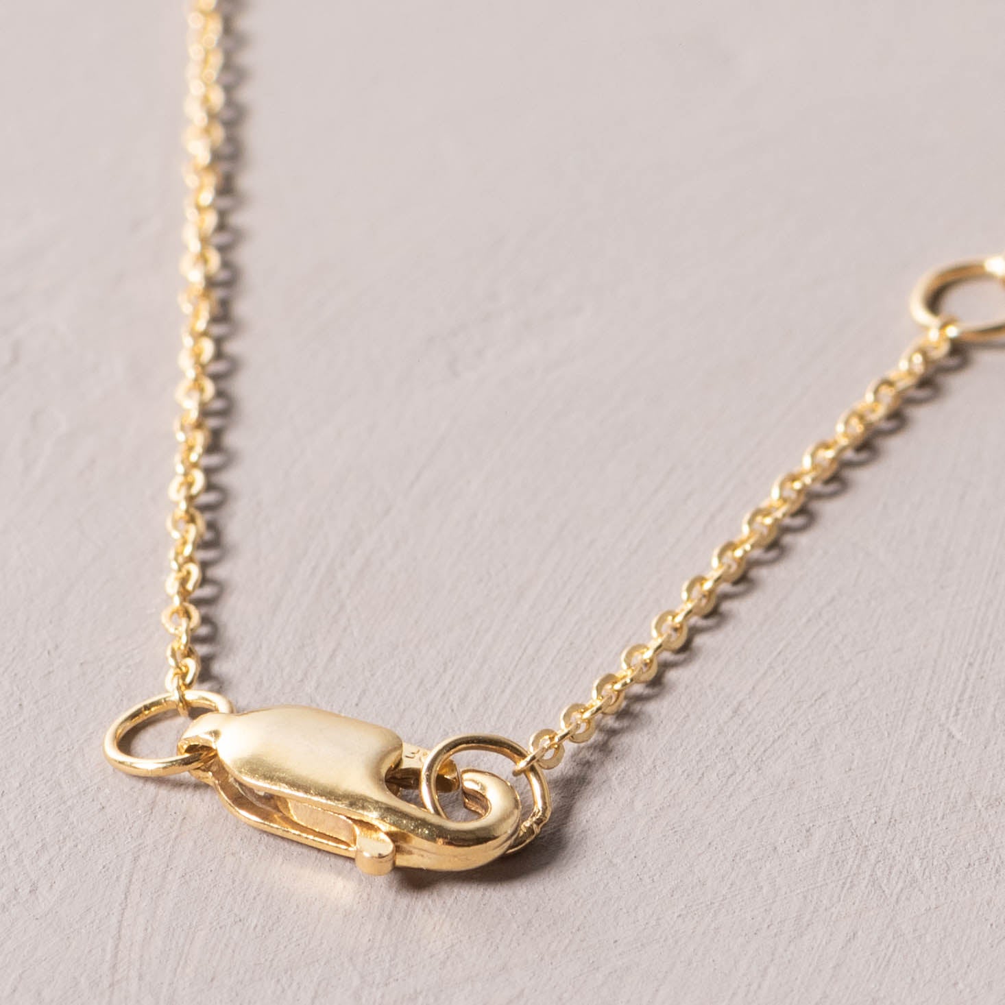 Magnoliass gold initial disc necklace