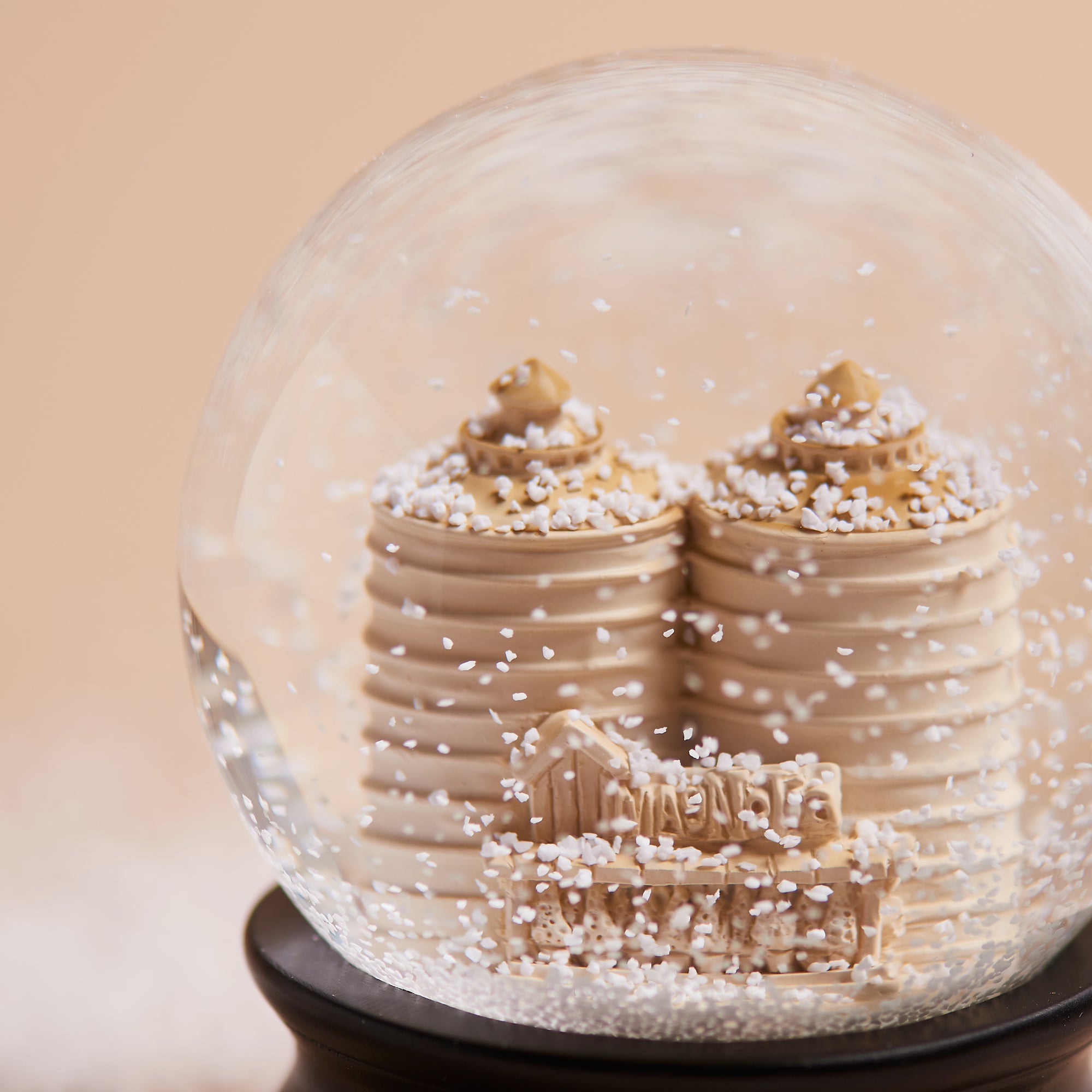 Magnoliass silos snowglobe