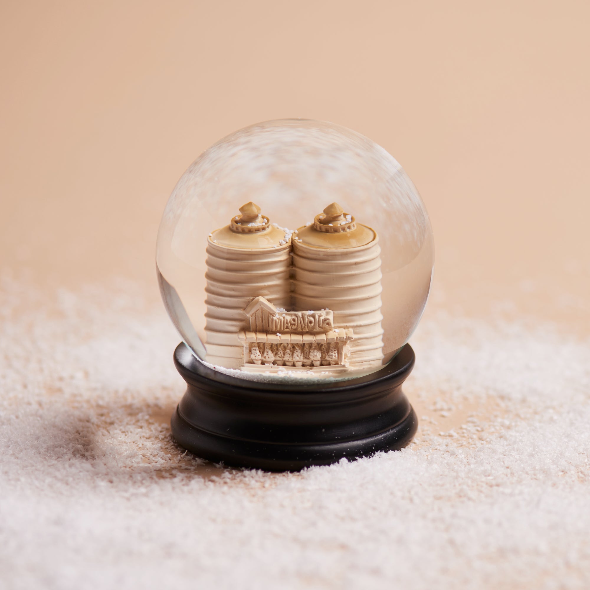 Magnoliass silos snowglobe