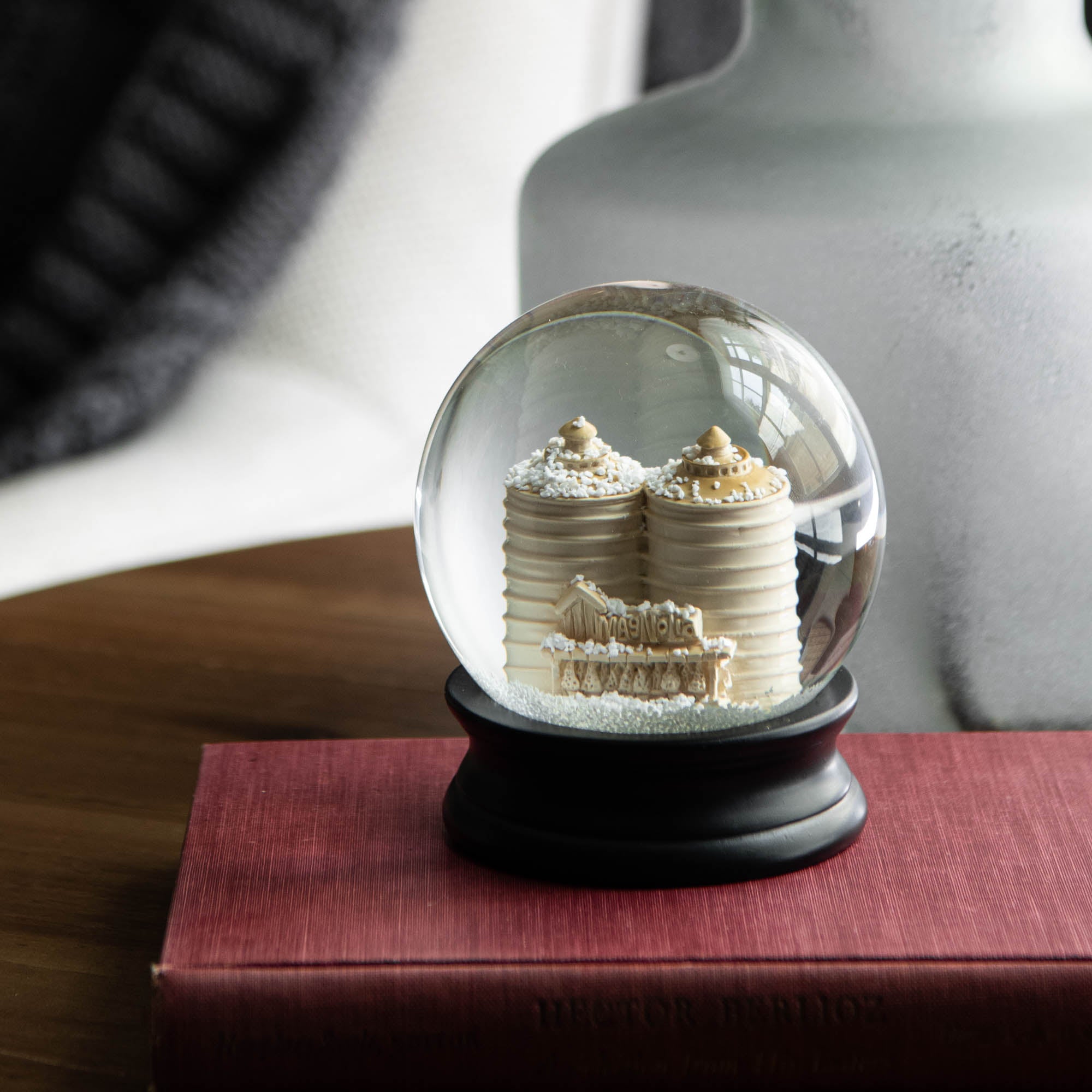 Magnoliass silos snowglobe