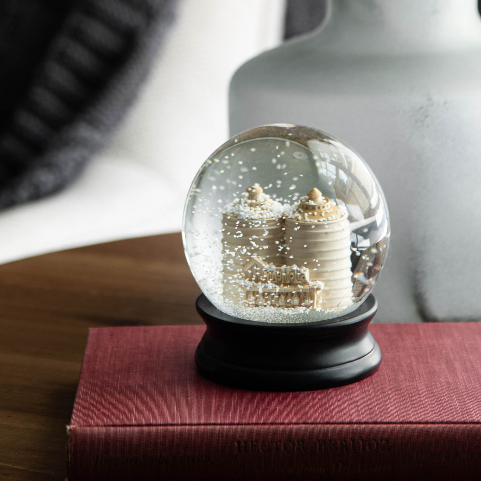 Magnoliass silos snowglobe