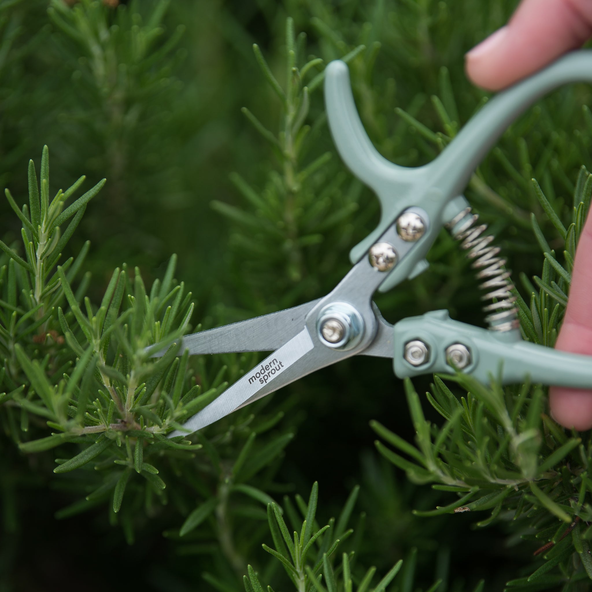 pale mint metal garden pruning shears